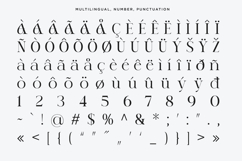 Avires - Stylish Ligature Serif Font Product Image 10
