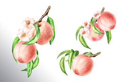 Ripe Peaches Product Image 11