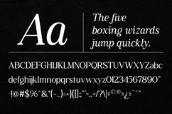 Giteral - Stylish Editorial Serif Font Product Image 9