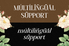 Nexila - Luxury Serif Font Product Image 10