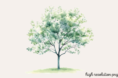 Pastel Spring Trees Clipart PNG Product Image 1