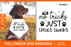Funny Halloween Dog Bandana Quote SVG | Just Treats Product Image 1