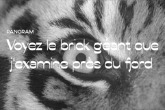 Conega Display Font Product Image 10