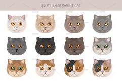 Scottish Straight Cat clipart Product Image 8