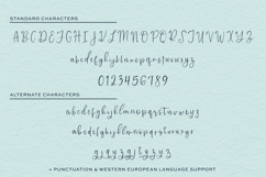 Catalunya Script Product Image 10