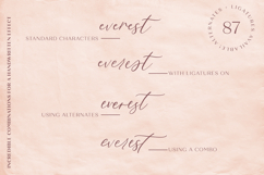 Fall Ember Calligraphy Font Product Image 10