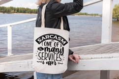 Sarcastic SVG Bundle Product Image 10