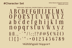 Shifer Blastone - Elegance Beauty Serif Font Product Image 9