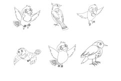 Birds Outlines Set 1 Procreate Brush Stamps, 30 Bird Product Image 10