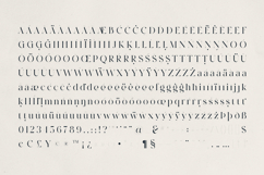 OZAAN A Sophisticated Modern Serif Product Image 10
