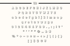 Fox Fresh : 8 Font Styles Product Image 10