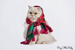 Christmas Cats Clipart PNG Product Image 1