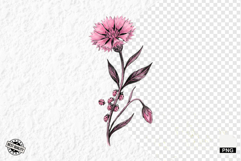 Summer Wildflowers &amp; Lady Bugs Clipart Product Image 1