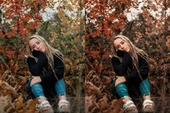 16 Autumn Aura Video LUTs Product Image 10
