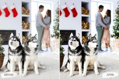 10 Snowy Pawprints Mobile Lightroom Presets Product Image 8