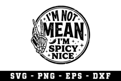 I'M Not Mean I'M Spicy Nice |Sarcastic SVG Cut files |Cricut Product Image 1