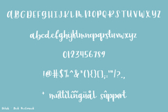 Delish Script Product Image 10