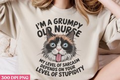 I&#039;M A Grumpy Old Nurse PNG, Funny animal Jokes S Product Image 1