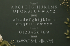 Shavile - Luxury Serif Font For Fashion Branding Product Image 10