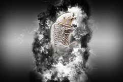 Collection of 12 Images 4k of gargoyles 300 dpi Product Image 6