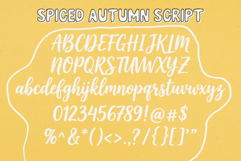 Spiced Autumn Playfull Dual Font Product Image 10