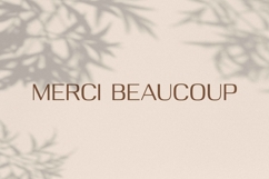 Deloire - Modern &amp; Luxury Sans Product Image 10