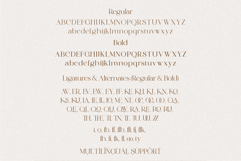 Ravure A Powerful Serif Font Product Image 10