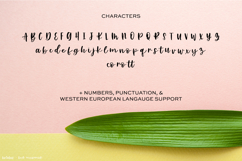 Bolabos Script Product Image 10