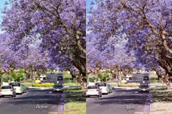 30 Blossom Lightroom Bundle Product Image 10