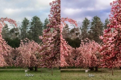 30 Blossom LUT Collection Product Image 7