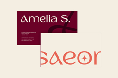 Barium - Luxury Elegant Beauty Sans Serif Product Image 10