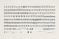 Averique Elegant Modern Serif Font Product Image 10