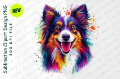 Colorful Border Collie Clipart Portrait With Watercolor PNG Product Image 1