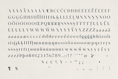 Morlique Serif Font Product Image 10