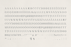 Evalinor A Modern Serif Font Product Image 10