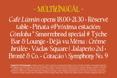 Rustique Serif Product Image 10