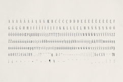 Veliora - Elegant Long Serif Product Image 10