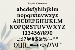Absture | Vintage Serif Font Product Image 10