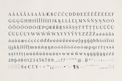 Lucentra Refined Serif Font Product Image 10