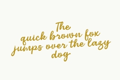 Armor - Elegant Script Font Product Image 11