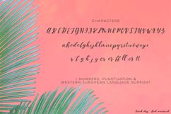 Beach Day Script Product Image 10