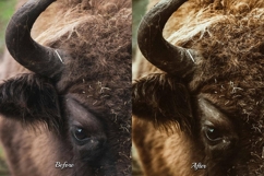 30 Countryside Lightroom Bundle Product Image 5