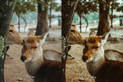 30 Countryside LUT Collection Product Image 6