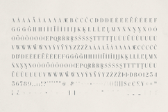 Zyntro Elegant High-Contrast Serif Product Image 10