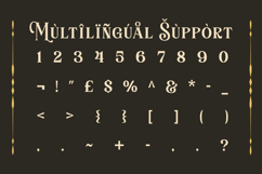 Heiruns - Decorative Luxury Serif Font Product Image 10