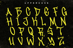 Stylish Typefaces Product Image 10