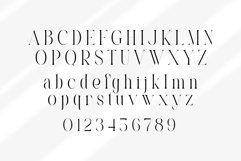Castica Product Image 10