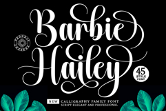 Barbie Hailey Font Family with 45 Styles Product Image 1