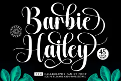 Barbie Hailey Font Family with 45 Styles Product Image 1