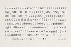 Vurnia Elegant Serif Font Product Image 10